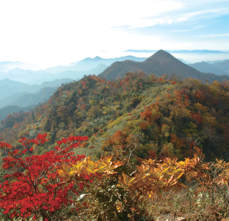 Mt. Gozen & Mt. Shaka