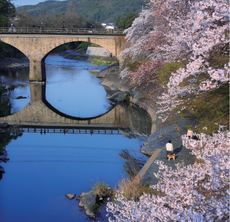 Cherry Trees and Stone Bridges